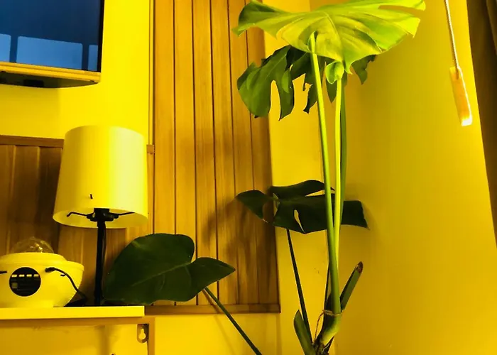 Guest house Not Active Listing